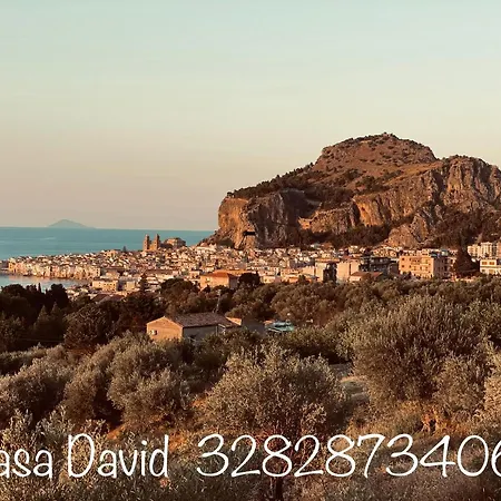 David צ'פאלו