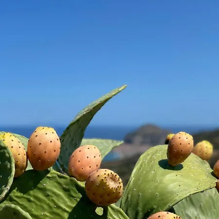 Semesterbostad David Cefalù