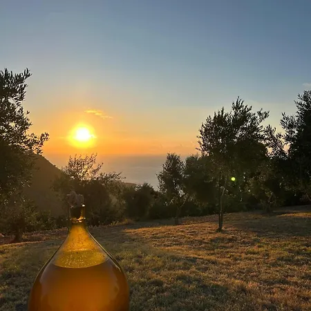 Semesterbostad David