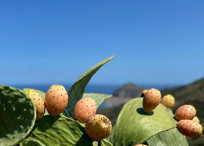 Сasa de vacaciones David Cefalú